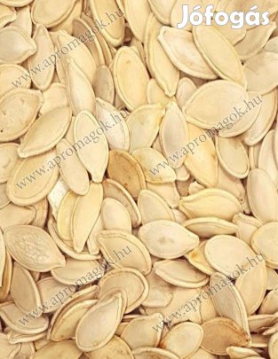 Natúr héjas étkezési tökmag eladó, akár postai szállítással