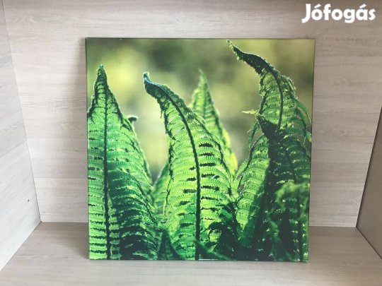 Nature, Falikép, (70x70 cm), Újszerű