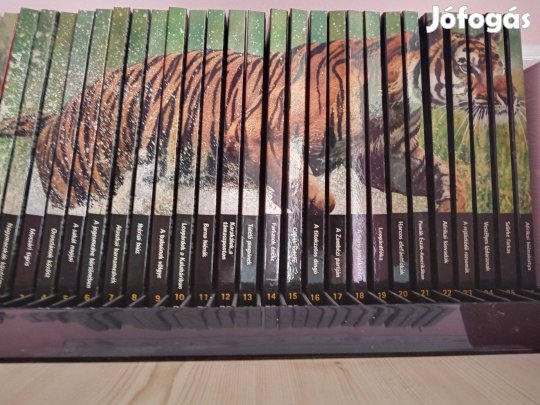 Naturel killers DVD sorozat eladó