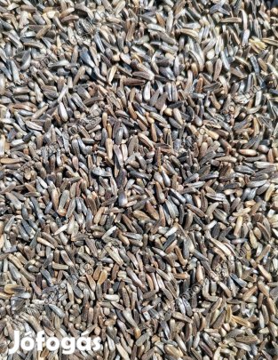 Négermag eladó postai utánvéttel