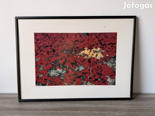 Negri pipacsmező - 72x52cm