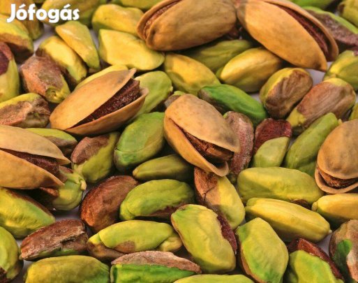 Nemes pisztácia oltvány