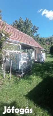 Nemesapátiban zártkerti ingatlan, 5142 m2 telekkel eladó!