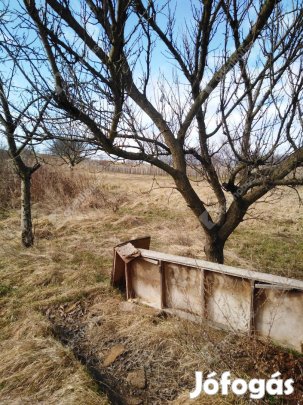 Nemesszer Öreg-hegyen jó állapotú, tégla építésű pince, nyaraló eladó!