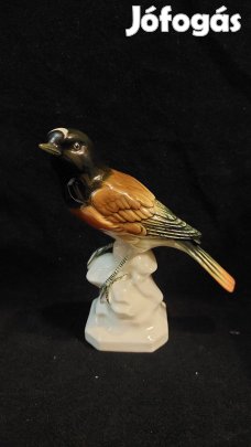 Német,Germany Volkstedt 1900-1936 Porcelán Madár szobor