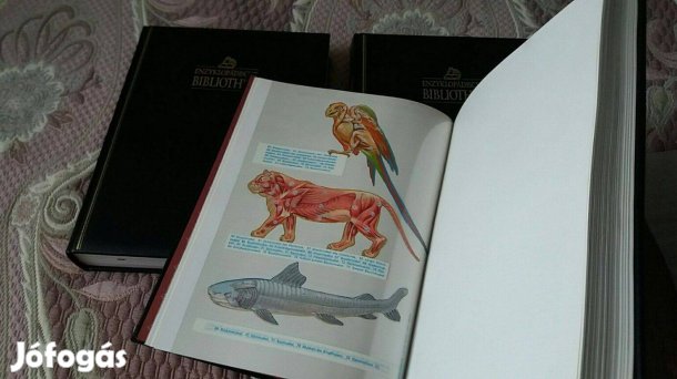 Német lexikon Enzyklopädische 6 kötet. új állapotban