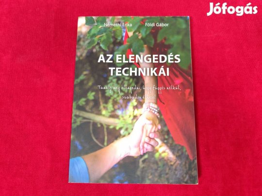 Némethi Erika Földi Gábor: Az elengedés technikái