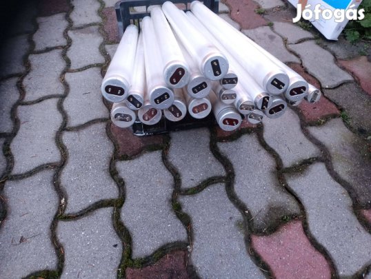 Neoncsövek eladók, Ócsa