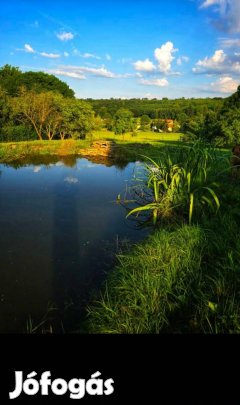 Népi Barokk Stílusú Családi Ház Eladó Nagy Telekkel Felsőcsatáron
