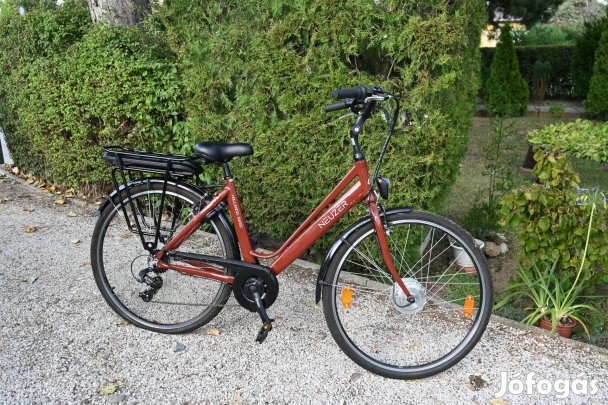Neuzer Hollandia Basic Ebike eladó