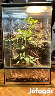 Nevelő terrárium 30x30x50