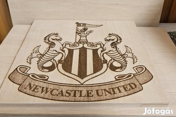 Newcastle United Fa Címer