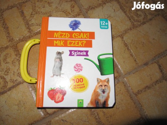 Nézd csak! Mik ezek? Színek 100 szó, új