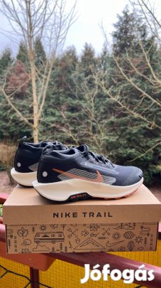 Nike Pegasus Trail 5 Gtx