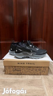 Nike Pegasus Trail 5 Gtx