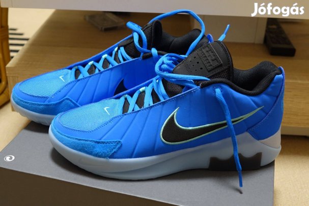 Nike lebron witness 9 44.5