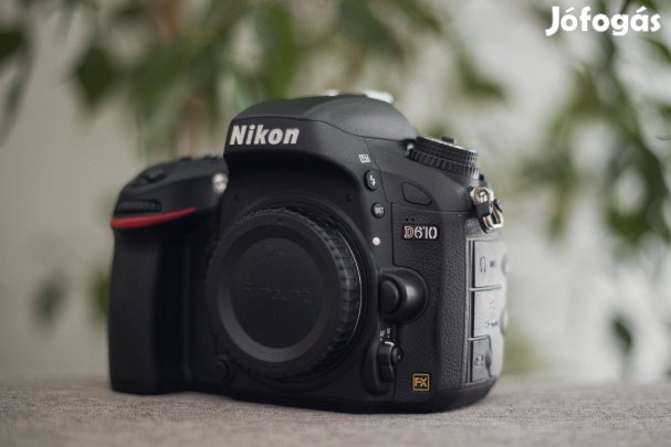 Nikon D610 (13 ezer expo)