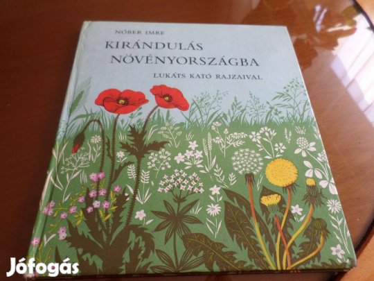 Nóber Imre Kirándulás Növényországba, Gyermekkönyv