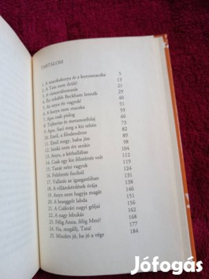 Nógrádi Gábor: Az anyu én vagyok