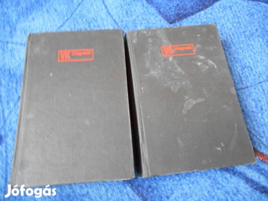 Norman Mailer:A hóhér dala I-II