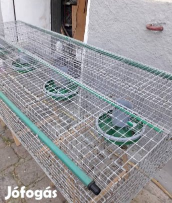 Növendék 32 férőhelyes ketrec nyúlketrec futárral 