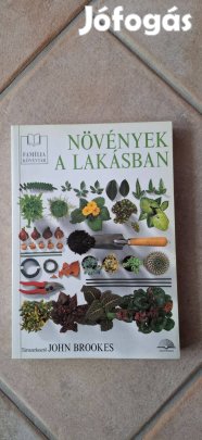 Növények a lakásban
