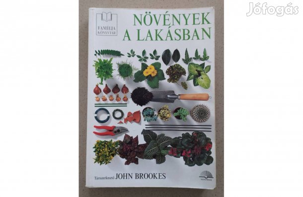 Növények a lakásban, szobanövény, enteriőr