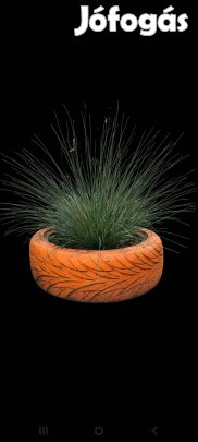 Növények eladók! 