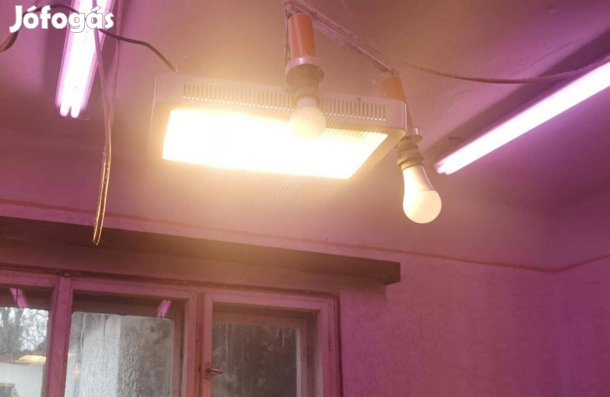 Növénynevelő üvegház világítás led lámpa