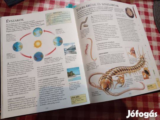 Novum képes enciklopédia