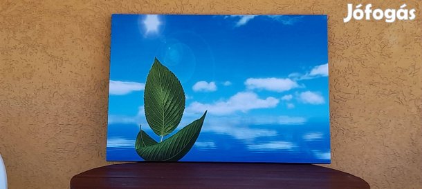 Nyári hangulat ,táblakép .65x45 cm. Teljesen új!