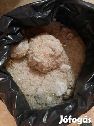 Nyers, iszapos parajdi só