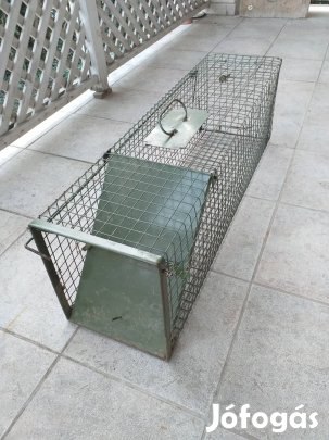 Nyest, patkány csapda 