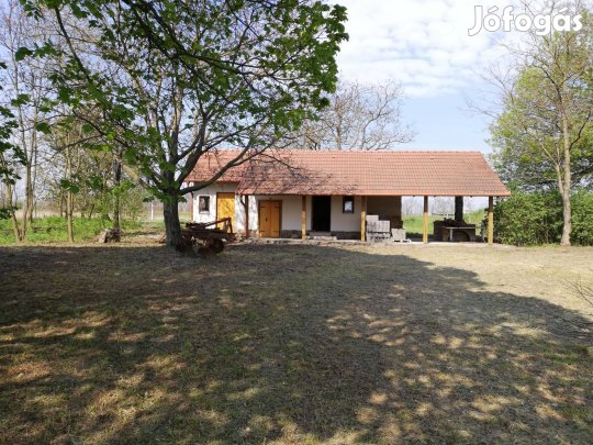 Nyíregyháza Mátyásbokor 10700nm Tanya Eladó