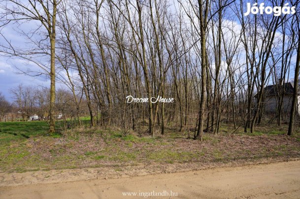 Nyíregyháza Tokaji út vonzáskörzetében telek eladó!