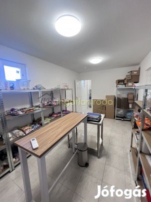 Nyíregyháza - Nyírszőlős - Ipari ingatlan - Műhely - Üzem - Telephely