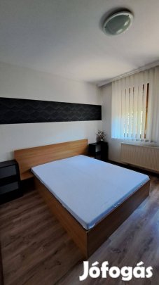 Nyíregyháza belvárosában, a Sólyom utcán 1+1 szobás lakás hosszú távra