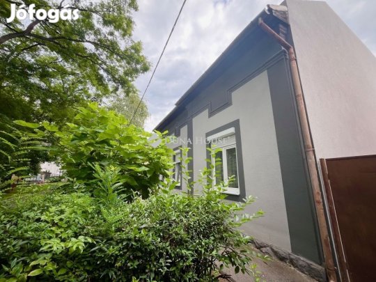 Nyíregyházai 196 nm-es ház eladó