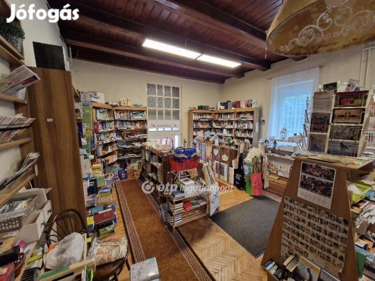 Nyíregyházai 220 nm-es ház eladó