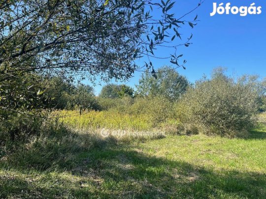 Nyíregyházai 2329 nm-es telek eladó