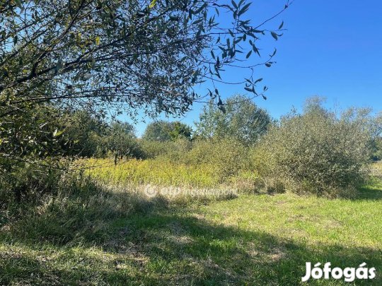 Nyíregyházai 2329 nm-es telek eladó