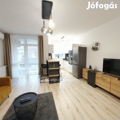 Nyíregyházai 46 nm-es lakás kiadó