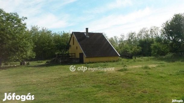 Nyíregyházai eladó 15000 nm-es telek