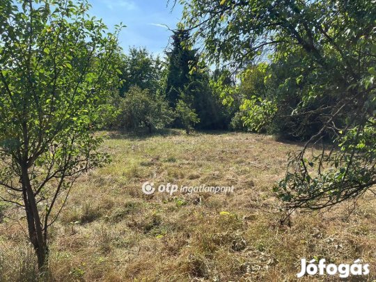 Nyíregyházai eladó 1602 nm-es telek