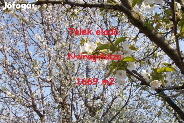 Nyíregyházai eladó 1669 nm-es telek