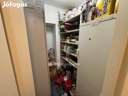 Nyíregyházai eladó 210 nm-es ház