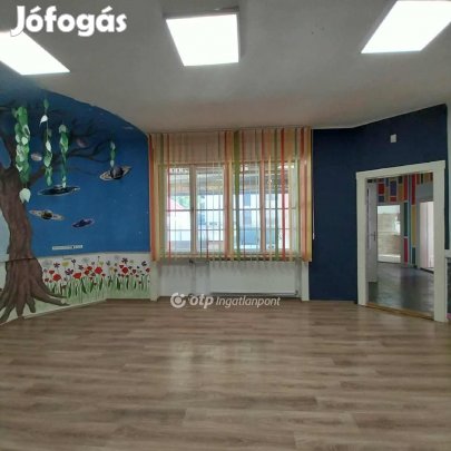 Nyíregyházai eladó 337 nm-es ház