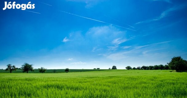 Nyíregyházai eladó 6705 nm-es telek