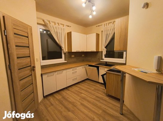 Nyíregyházán 150 NM-Es Bútorozott, Gépesitett Családi Ház Kiadó