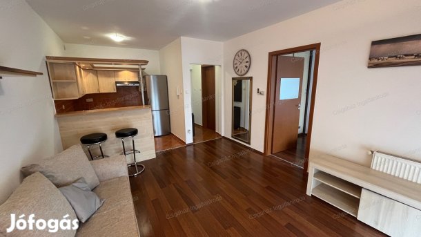 Nyíregyházán, a Virág utcán azonnal köttözhető 2 szobás bútorozott